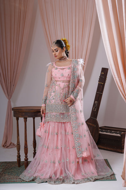 Nishat bagh Pink