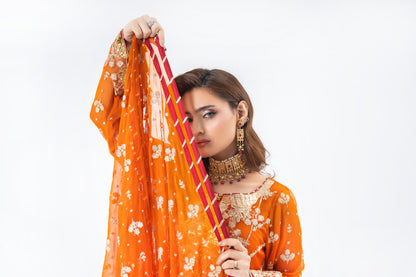 Aarushi Orange